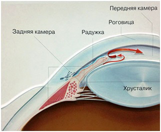 Форма глаукомы